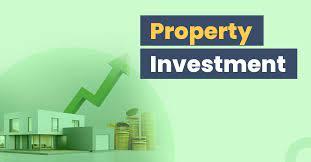 Investor property